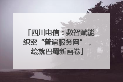 四川电信：数智赋能织密“普遍服务网”，绘就巴蜀新画卷