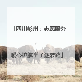 四川彭州：志愿服务暖心护航学子逐梦路