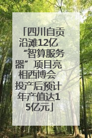 四川自贡沿滩12亿“智算服务器”项目亮相西博会 投产后预计年产值达15亿元
