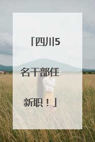 四川5名干部任新职！