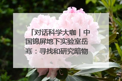对话科学大咖｜中国锦屏地下实验室岳骞：寻找和研究暗物质，就是要去突破人类的认知边界