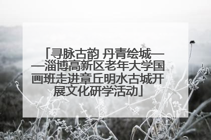 寻脉古韵 丹青绘城——淄博高新区老年大学国画班走进章丘明水古城开展文化研学活动
