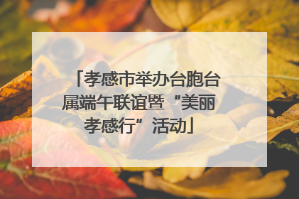 孝感市举办台胞台属端午联谊暨“美丽孝感行”活动
