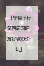 宁夏举行第四届国际友好城市论坛