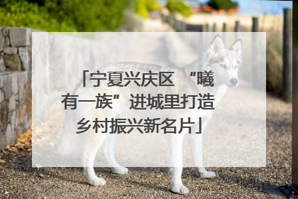 宁夏兴庆区 “曦有一族”进城里打造乡村振兴新名片