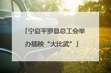 宁夏平罗县总工会举办插秧“大比武”