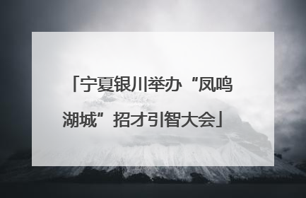 宁夏银川举办“凤鸣湖城”招才引智大会