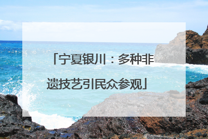 宁夏银川：多种非遗技艺引民众参观