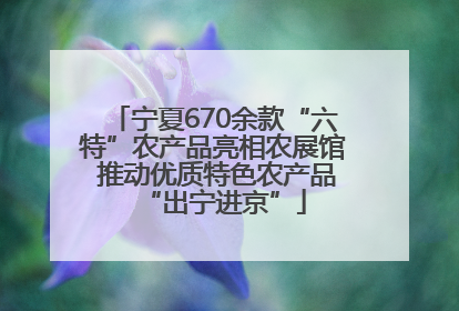 宁夏670余款“六特”农产品亮相农展馆 推动优质特色农产品“出宁进京”