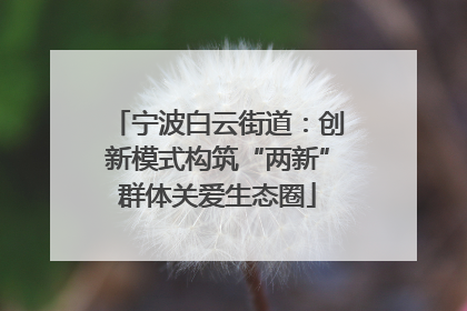 宁波白云街道：创新模式构筑“两新”群体关爱生态圈