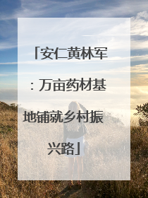 安仁黄林军：万亩药材基地铺就乡村振兴路
