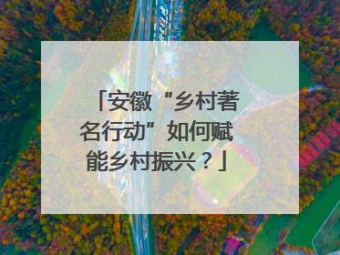 安徽“乡村著名行动”如何赋能乡村振兴？