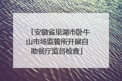 安徽省巢湖市卧牛山市场监管所开展自助餐厅监督检查