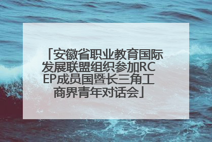 安徽省职业教育国际发展联盟组织参加RCEP成员国暨长三角工商界青年对话会