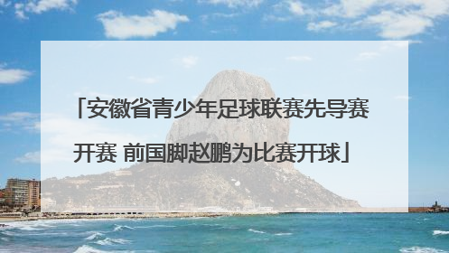 安徽省青少年足球联赛先导赛开赛 前国脚赵鹏为比赛开球