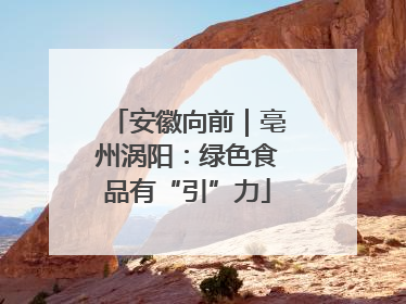 安徽向前｜亳州涡阳：绿色食品有“引”力