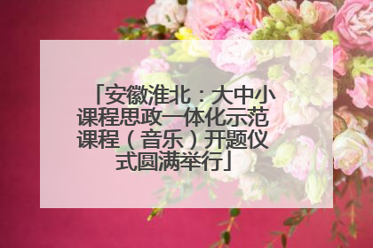 安徽淮北：大中小课程思政一体化示范课程（音乐）开题仪式圆满举行