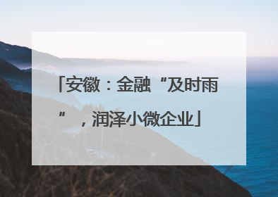 安徽：金融“及时雨”，润泽小微企业