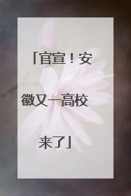 官宣！安徽又一高校来了