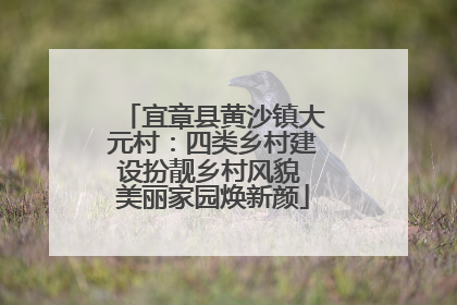 宜章县黄沙镇大元村：四类乡村建设扮靓乡村风貌 美丽家园焕新颜