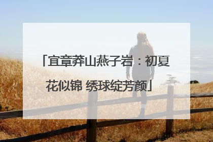 宜章莽山燕子岩：初夏花似锦 绣球绽芳颜