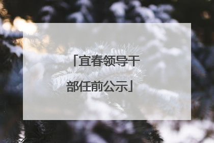 宜春领导干部任前公示