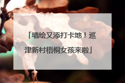 墙绘又添打卡地！巡津新村梧桐女孩来啦
