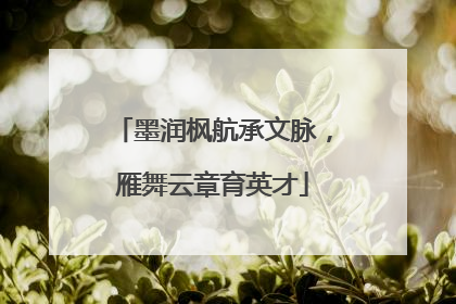 墨润枫航承文脉，雁舞云章育英才