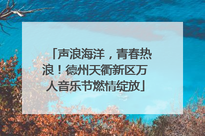 声浪海洋，青春热浪！德州天衢新区万人音乐节燃情绽放