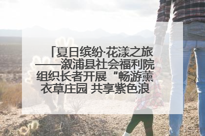 夏日缤纷·花漾之旅——溆浦县社会福利院组织长者开展“畅游薰衣草庄园 共享紫色浪漫”户外活动
