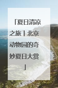 夏日清凉之旅丨北京动物园的奇妙夏日大赏
