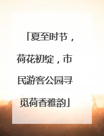夏至时节，荷花初绽，市民游客公园寻觅荷香雅韵