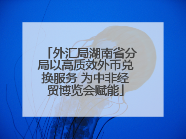 外汇局湖南省分局以高质效外币兑换服务 为中非经贸博览会赋能
