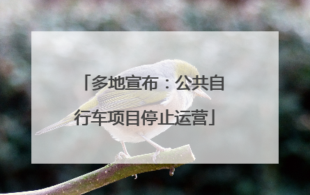 多地宣布：公共自行车项目停止运营