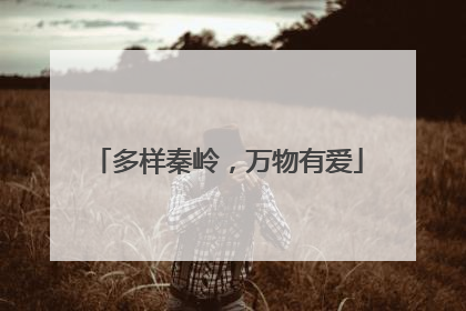 多样秦岭，万物有爱
