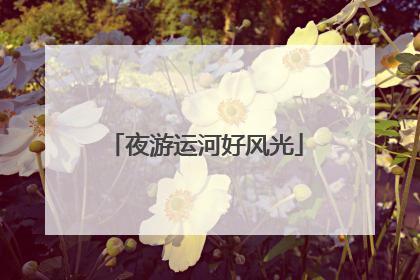 夜游运河好风光