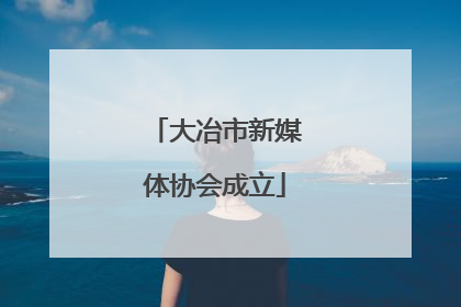 大冶市新媒体协会成立