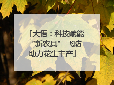 大悟：科技赋能“新农具” 飞防助力花生丰产