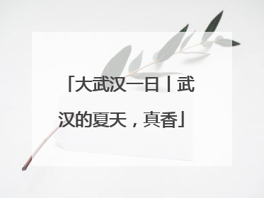 大武汉一日丨武汉的夏天，真香
