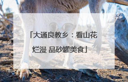 大通良教乡：看山花烂漫 品砂罐美食