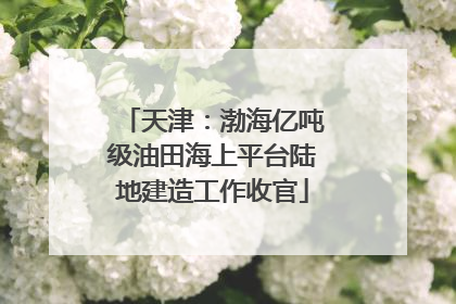 天津：渤海亿吨级油田海上平台陆地建造工作收官