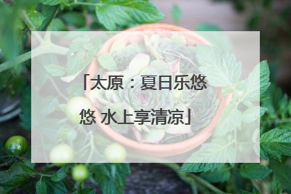 太原：夏日乐悠悠 水上享清凉