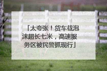 太夸张！货车载泡沫超长七米，高速服务区被民警抓现行