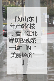 好山东｜年产6亿枝，看“江北鲜切玫瑰第一镇”的“美丽经济”