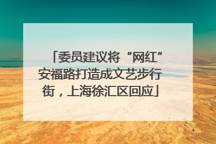 委员建议将“网红”安福路打造成文艺步行街，上海徐汇区回应