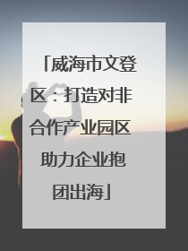 威海市文登区：打造对非合作产业园区 助力企业抱团出海
