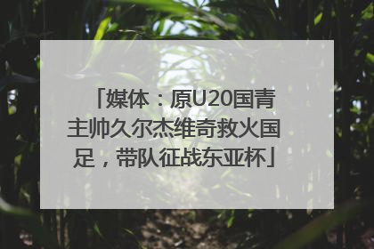 媒体：原U20国青主帅久尔杰维奇救火国足，带队征战东亚杯