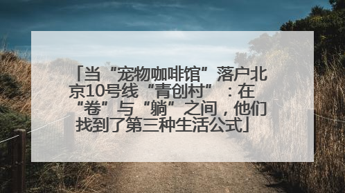 当“宠物咖啡馆”落户北京10号线“青创村”：在“卷”与“躺”之间，他们找到了第三种生活公式