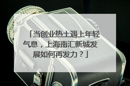 当创业热土遇上年轻气息，上海南汇新城发展如何再发力？
