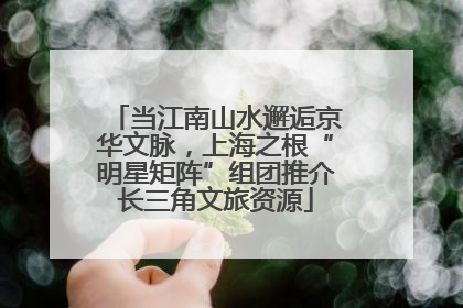 当江南山水邂逅京华文脉，上海之根“明星矩阵”组团推介长三角文旅资源